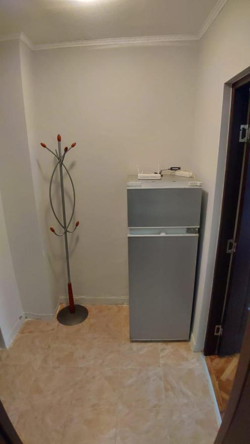 萨图马雷Flora Apartament公寓 外观 照片