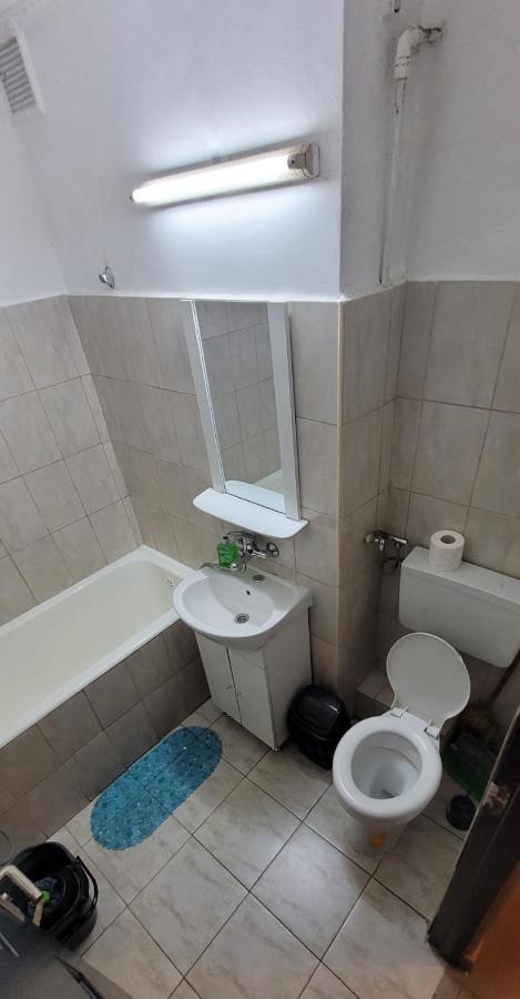 萨图马雷Flora Apartament公寓 外观 照片