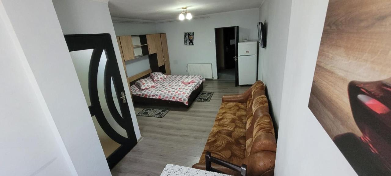 萨图马雷Flora Apartament公寓 外观 照片